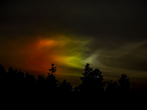 Parhelion: sun dog above the treelines of British Columbia